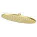 Pfister PUSH05SHWBG Brushed Gold Shower Head
