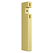 Pfister PHHL016VRVBG Brushed Gold Faucet Handle