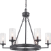 Progress PP400164143 Graphite Mid Sized Chandelier