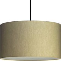 Multi Light Pendant 18-3/25" Width