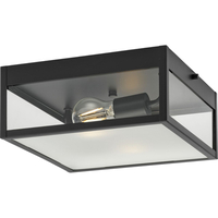Ceiling Mounted Light 11" Width