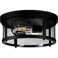 Ceiling Mounted Light 12-5/8" Width