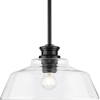  Singleton Down Light Pendant Light - Matte Black