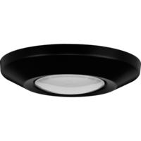  Intrinsic Flush Mount Ceiling Light - Black