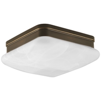 Flush Mount Ceiling Light 9" Width
