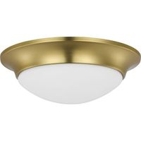 Flush Mount Ceiling Light 11-1/2" Width Flush Mount Ceiling Light 11-1/2" Width