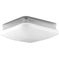 Flush Mount Ceiling Light 11" Width
