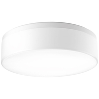  Maier Flush Mount Ceiling Light - White