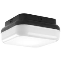 Ceiling Mounted Light 10" Width