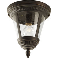 Ceiling Mounted Light 9" Width