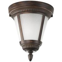 Ceiling Mounted Light 9" Width