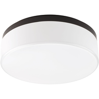 Flush Mount Ceiling Light