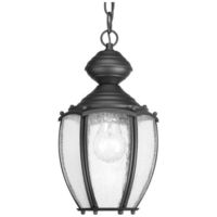 Hanging Lantern Hanging Lantern