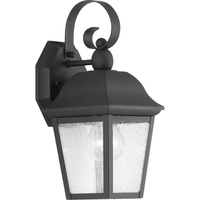Outdoor Wall Light 12-7/8" Height Outdoor Wall Light 12-7/8" Height