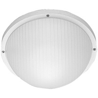Ceiling Mounted Light 10" Width
