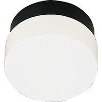 Ceiling Mounted Light 8-3/4" Width