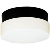 Ceiling Mounted Light 12" Width