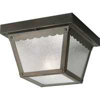 Ceiling Mounted Light 7-1/2" Width