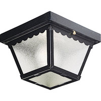 Ceiling Mounted Light 7-1/2" Width