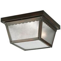 Ceiling Mounted Light 9-1/4" Width