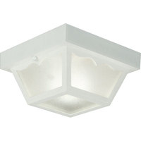 Ceiling Mounted Light 8-1/4" Width