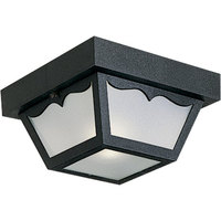 Ceiling Mounted Light 8-1/4" Width