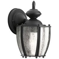 Outdoor Wall Light 9-1/2" Height Outdoor Wall Light 9-1/2" Height