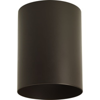 Ceiling Mounted Light 5" Width