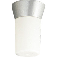  Hard-Nox Ceiling Ceiling Mounted - Satin Aluminum
