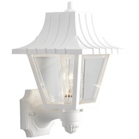 Outdoor Wall Light 12-3/4" Height