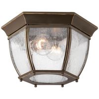 Ceiling Mounted Light 11" Width