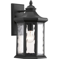 Outdoor Wall Light 15-7/8" Height