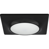  Flush Mount Ceiling Light - Black