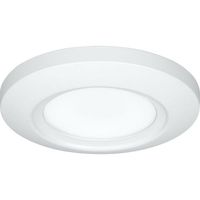  Emblem Flush Mount Ceiling Light - White