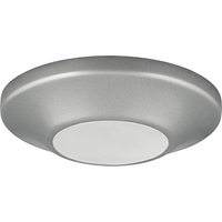  Flush Mount Ceiling Light - Metallic Gray