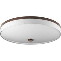 Flush Mount Ceiling Light 22" Width