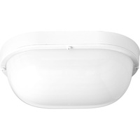 Ceiling Mounted Light 6-1/3" Width