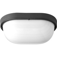 Ceiling Mounted Light 6-1/3" Width