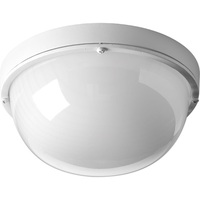 Ceiling Mounted Light 9-1/2" Width