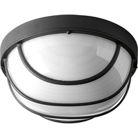 Ceiling Mounted Light 9-1/2" Width