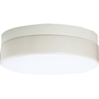 Semi Flush Mount 13-3/4" Width