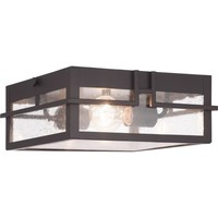Ceiling Mounted Light 11-3/8" Width