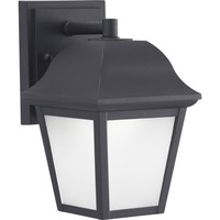 Outdoor Wall Light 8-7/8" Height Outdoor Wall Light 8-7/8" Height