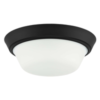  Edessa Flush Mount Ceiling Light - Black