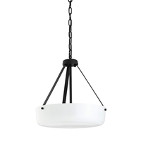 Flush Mount Ceiling Light 16" Width Flush Mount Ceiling Light 16" Width