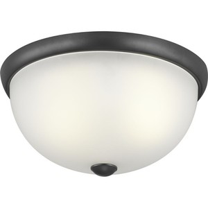 PP350044143 Glass Domes Flush Mount Ceiling Light - Graphite