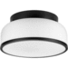 Progress PP35025531M Matte Black Flush Mount Ceiling Light