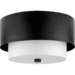 Progress PP35024931M Matte Black Flush Mount Ceiling Light