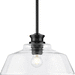 Progress PP50038131M Matte Black Down Light Pendant