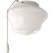 Progress PP264430 White Ceiling Fan Light Kit